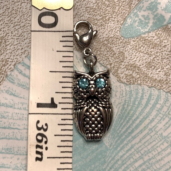 Origami Owl - Owl dangle with blues eyes - Picture 3 of 3